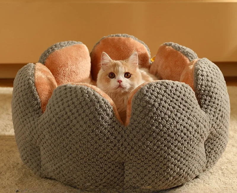 Luxury Pet House Winter Warm and Comfortable Cat Bed New Cartoon Cactus Petal Dogs Cats Nest Foldable and Washable Pet Supplies