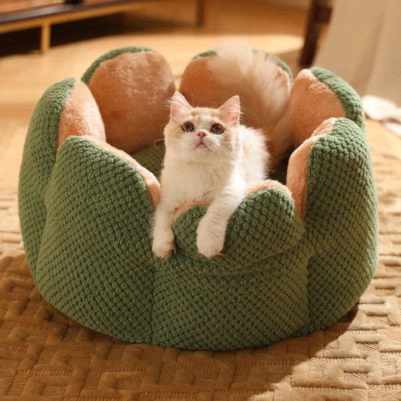 Luxury Pet House Winter Warm and Comfortable Cat Bed New Cartoon Cactus Petal Dogs Cats Nest Foldable and Washable Pet Supplies